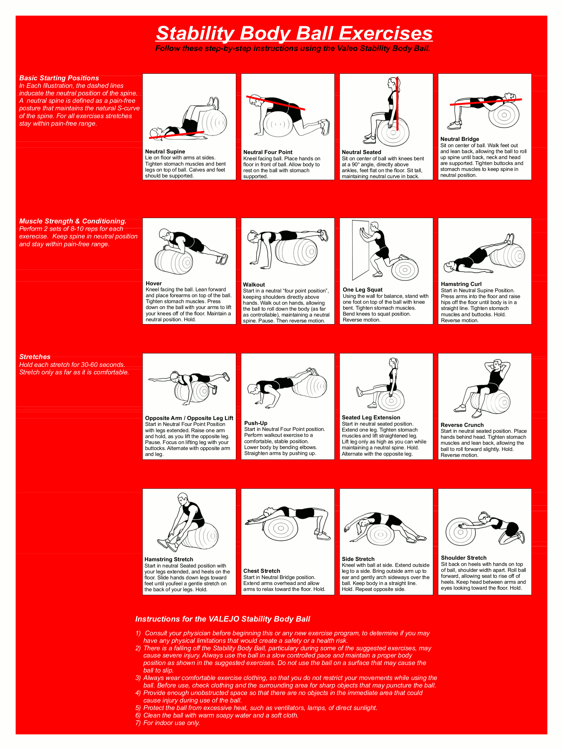 Stability Body Ball Exercises