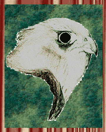 A colored pencil sketching of a perched bald eagle.